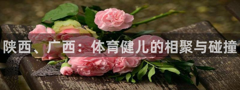 三亿体育登录