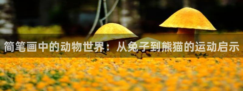 三亿体育
