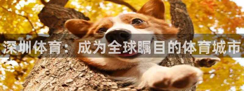 三亿体育