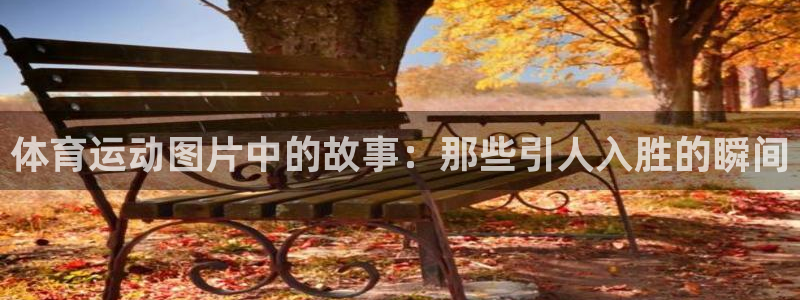 三亿体育