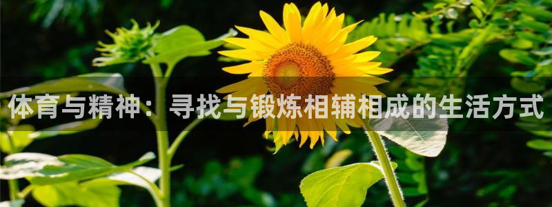 三亿体育