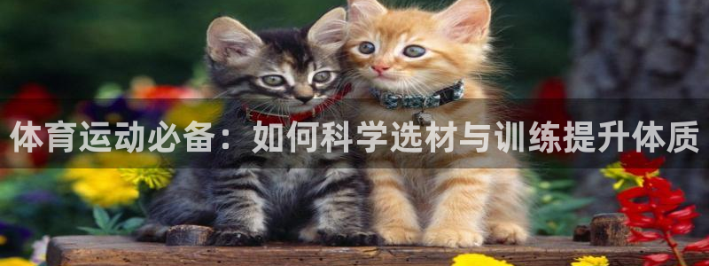 三亿体育