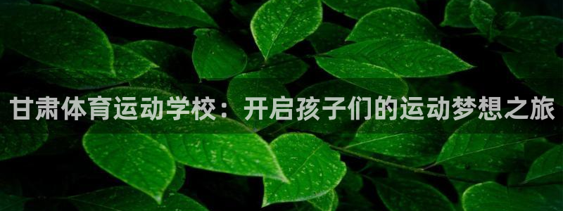 三亿体育