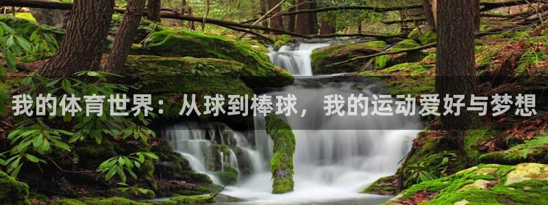 三亿体育登录