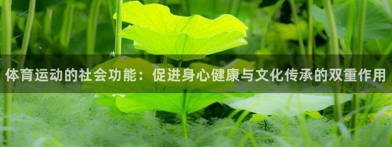 三亿体育