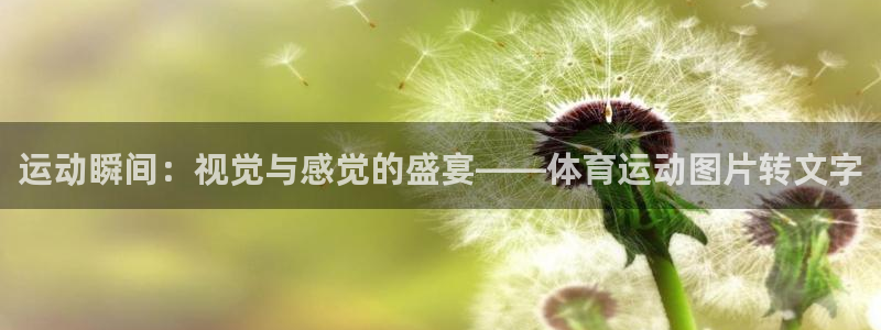 三亿体育网页版