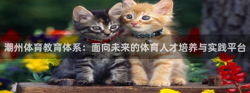 三亿体育网