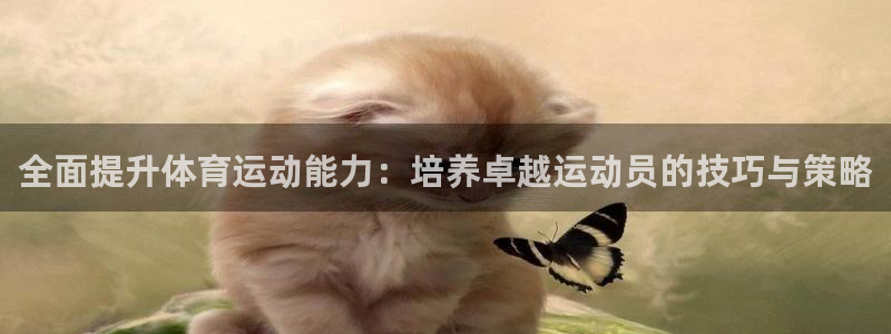 三亿体育网