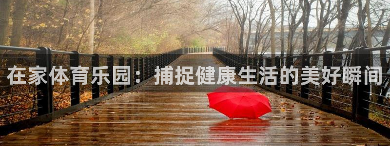 三亿体育网页版