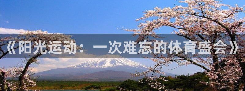 三亿体育网