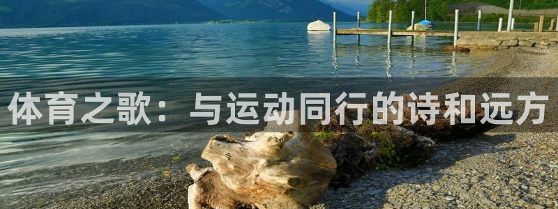 三亿体育网