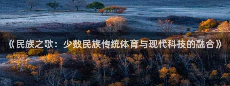 三亿体育网页版