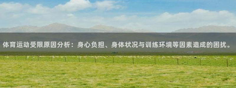 三亿体育网页版